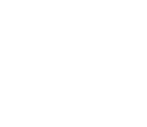 SAEF